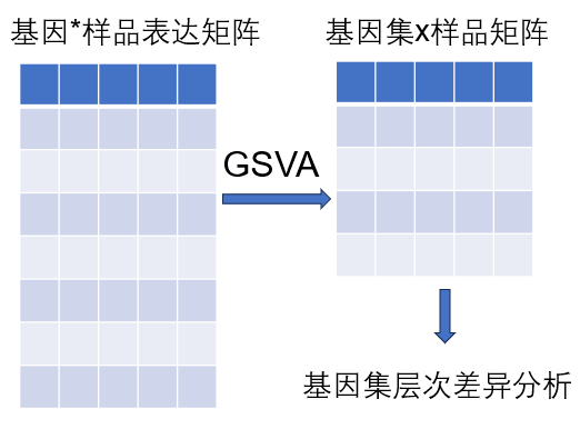 通用的占位符缩略图